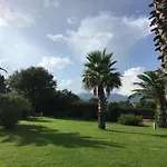 Mini - Corse Du Sud 里奇