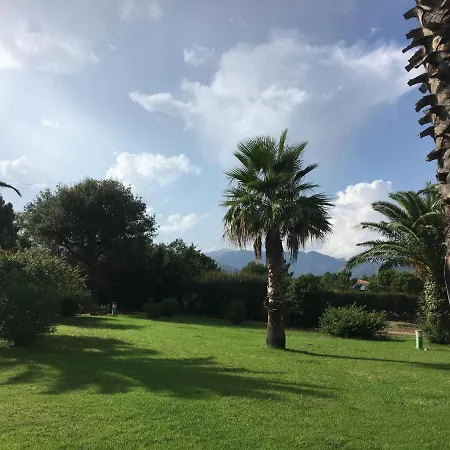 Mini - Corse Du Sud Lecci