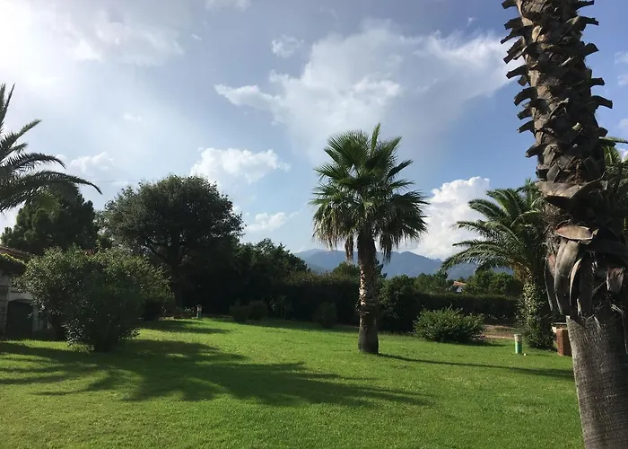 Mini - Corse Du Sud Lecci